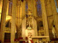 tcatedral05